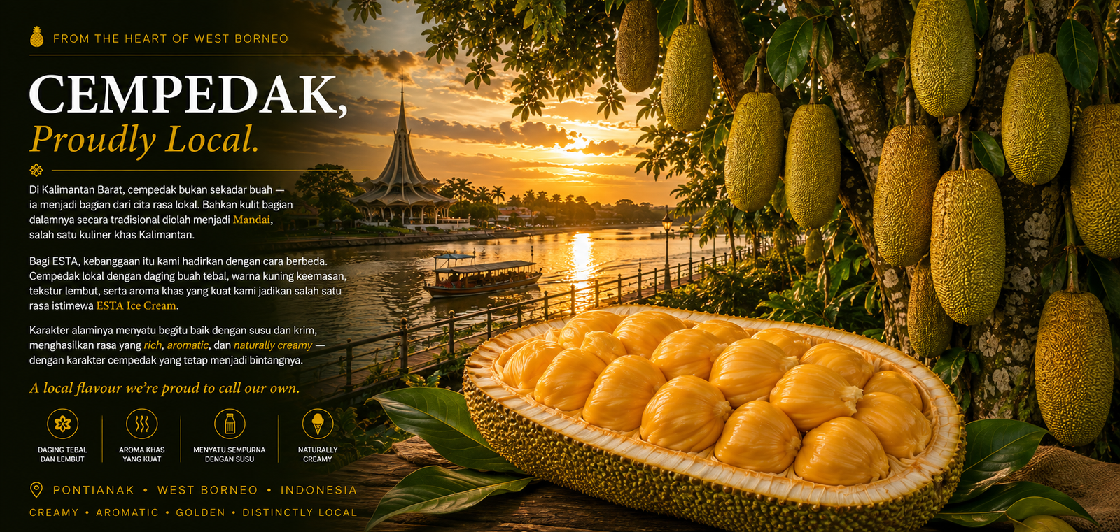 ESTA Cempedak story from Pontianak, West Borneo